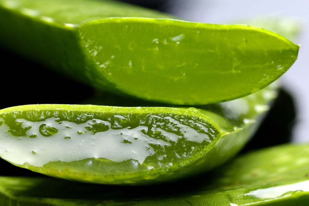Top 7 Skin Care Beauty Benefits of "Spritzing" with "Non-Stick" Organic Aloe Vera Mist
